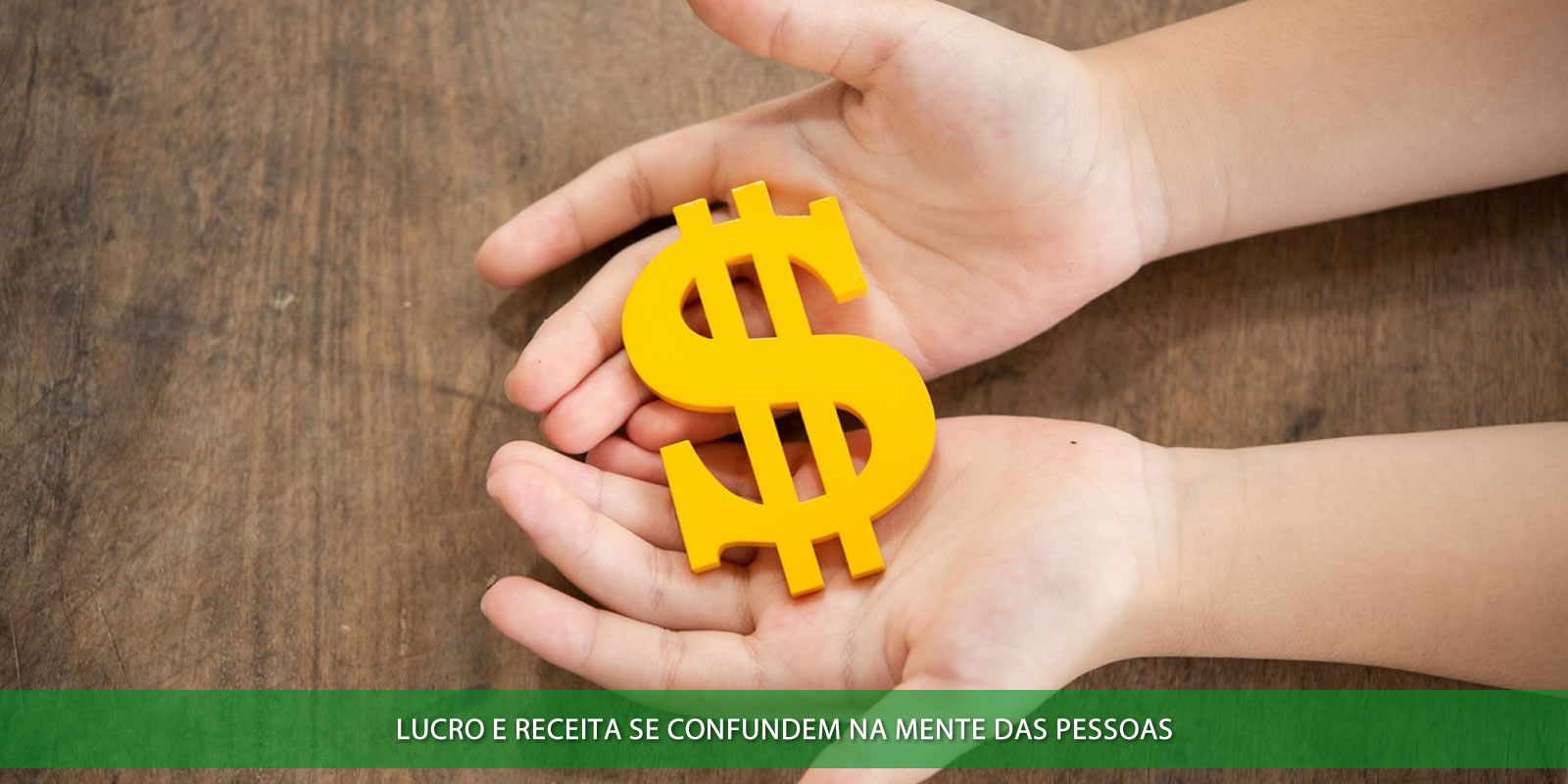 LUCRO E RECEITA. AS DIFERENÇAS FUNDAMENTAIS ENTRE OS ATIVOS DE SUA EMPRESA